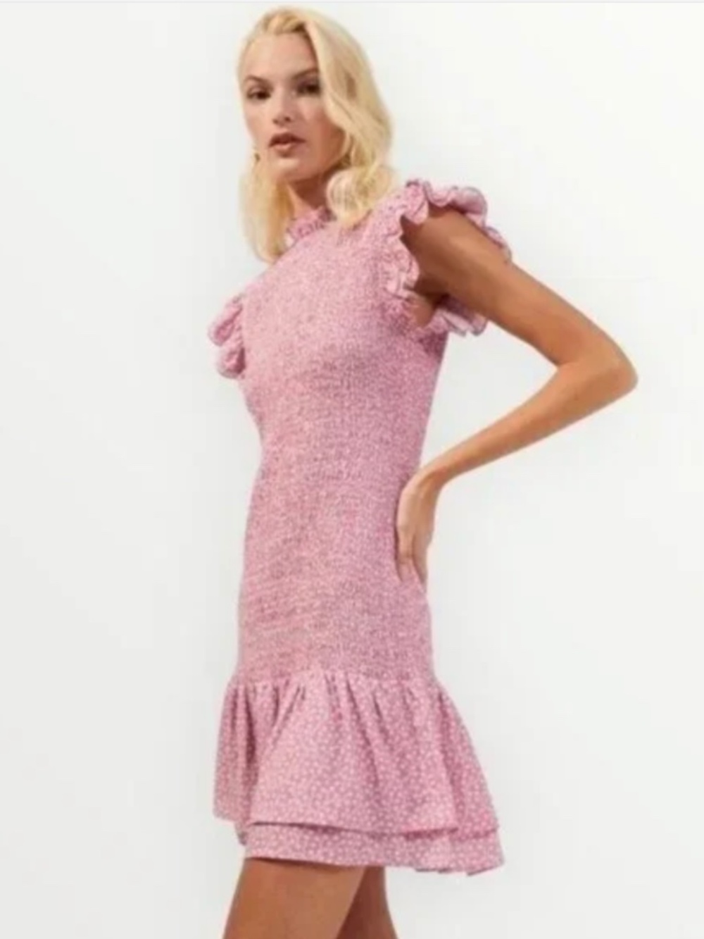 French Connection Elao Verona Crepe Smocked Drop Waist Pink Dress, Size Small